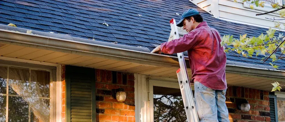 Choosing Repair Company