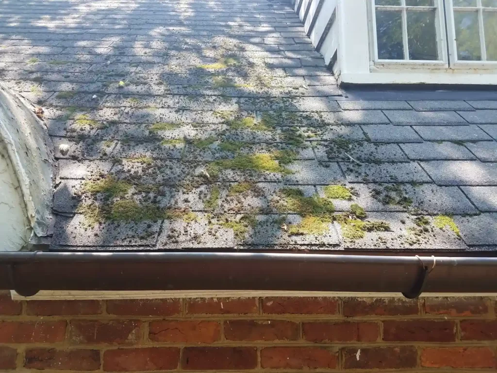Shingle roof in Austin with moss growth.
