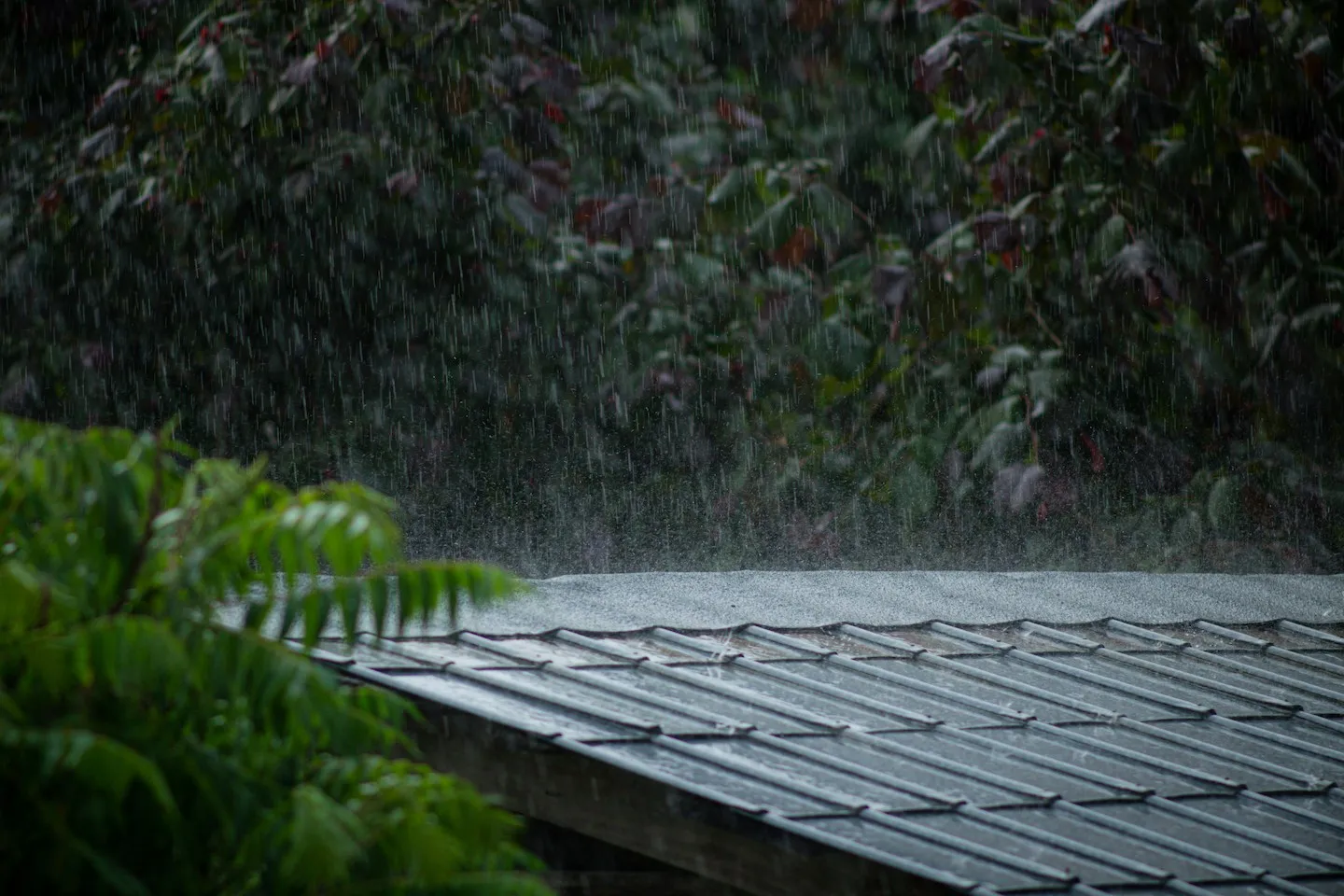 Rain pouring down on a metal roof in the woods.