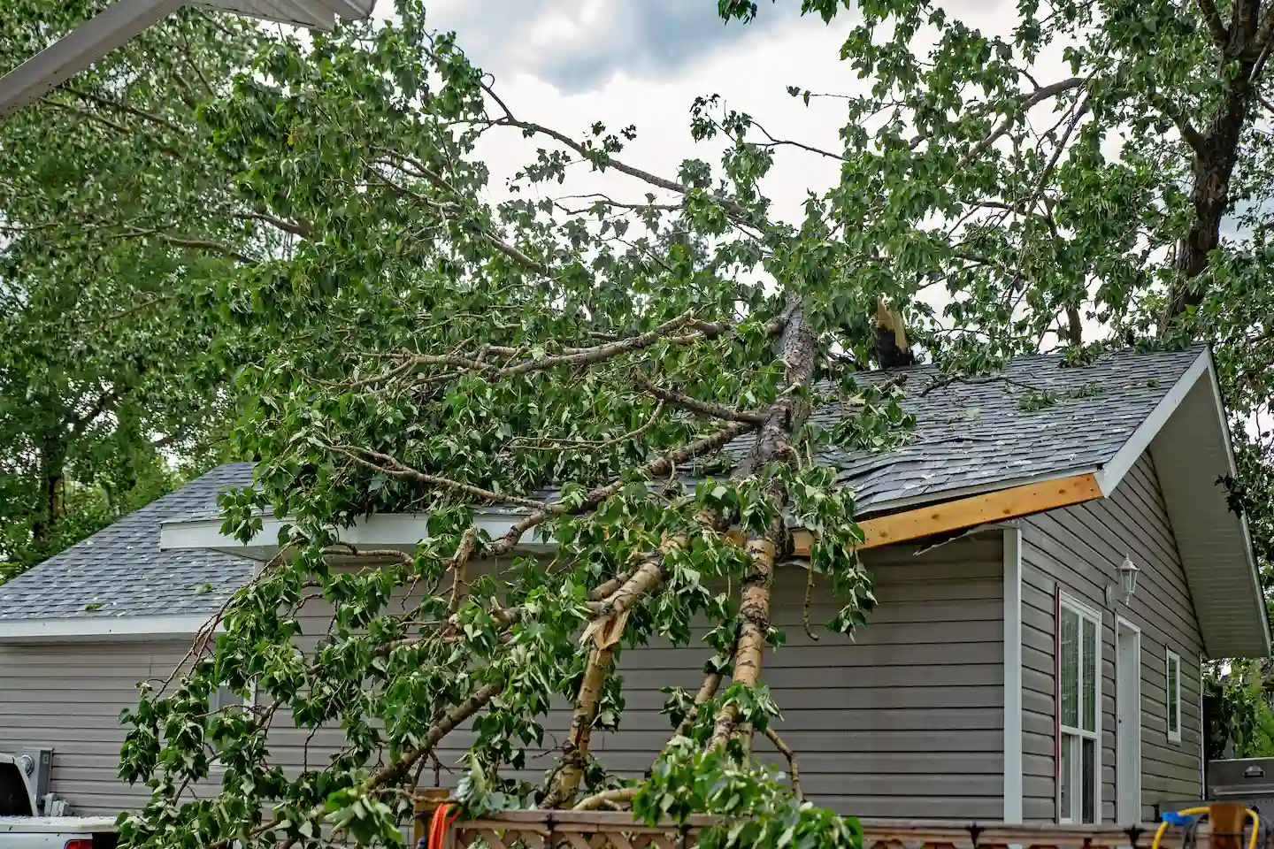 After the Storm: Assessing and Dealing with Wind Damage to Your Roof